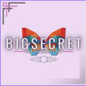 Bigsecret-MGT