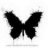 BlackButterfly